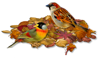 őszi állatok_32.png